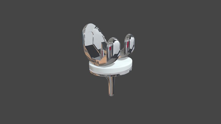 Prótese de joelho 3D Model
