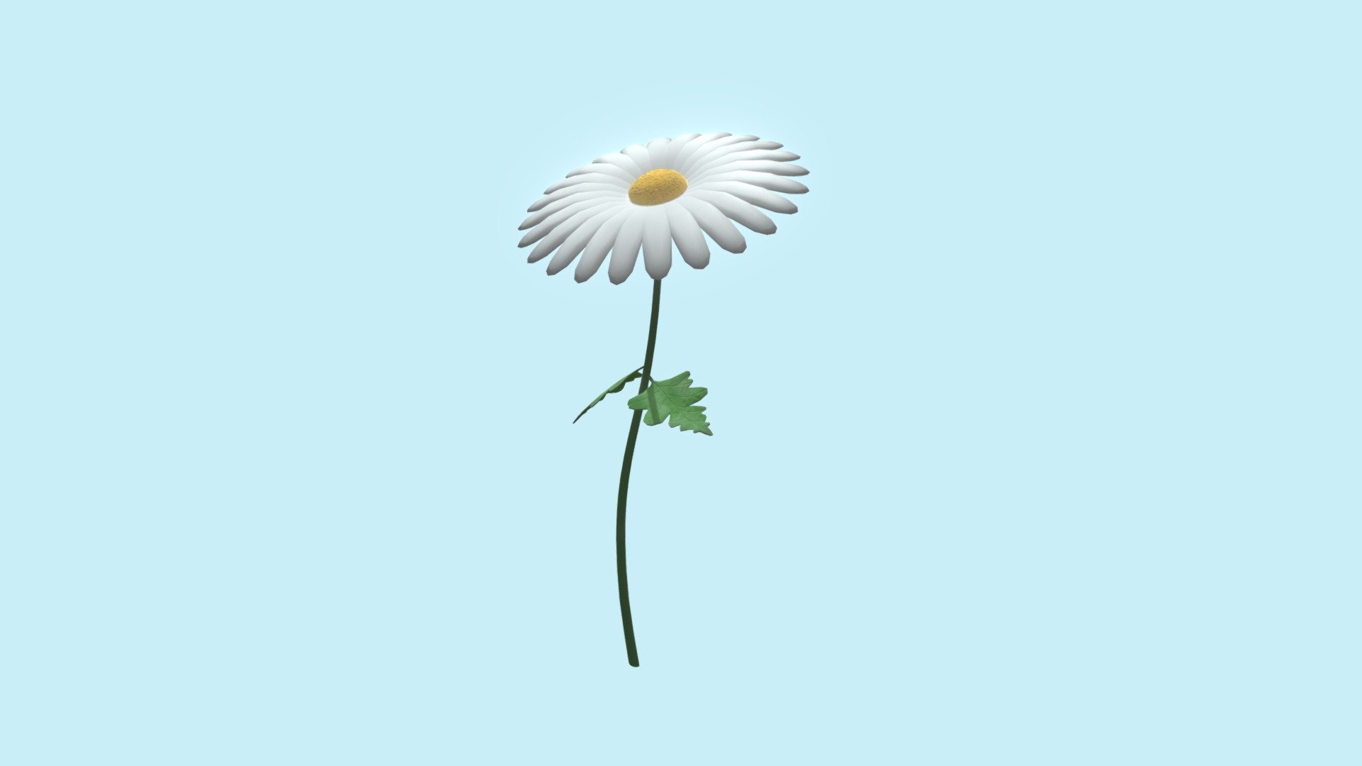 Single Daisy - 3D model by RachelEve [3203bf5] - Sketchfab