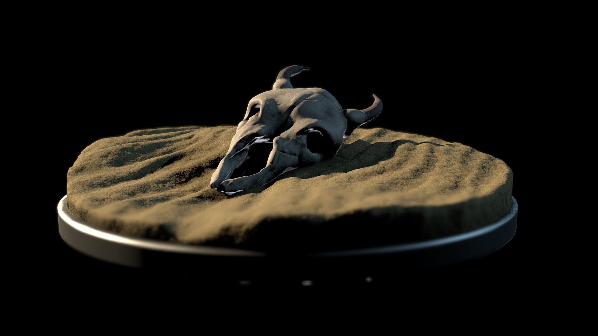 Desert SJ 04