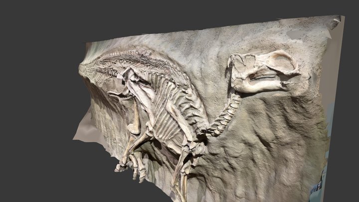 Dino bones 3 3D Model