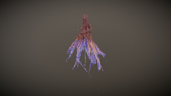 Cassava Voxel Craving 3D Model