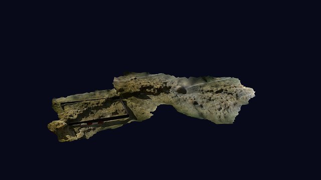 BCV Mesh 3D Model