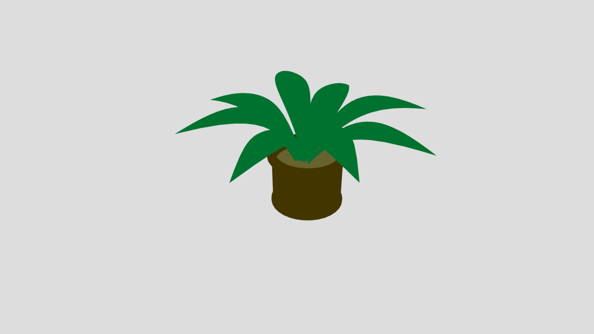 Pot Plant