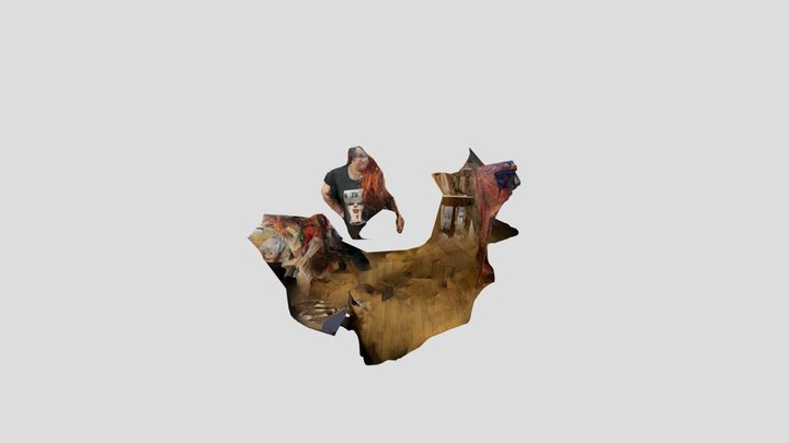 Polycam capture 3D Model