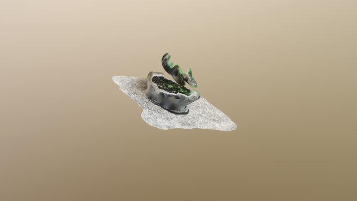 Green leaves in pot 3D Model