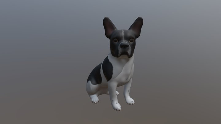 French Bulldog_Maya Sitting 6 5-meters 3D Model