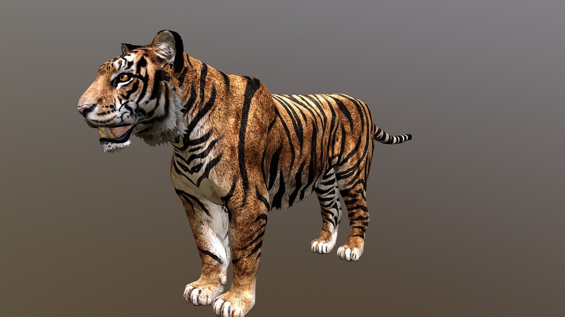 Bengal Tiger 3D, 3d, bengaltiger, animals, HD wallpaper