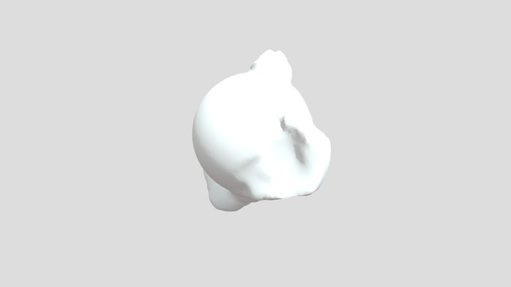 Skull model 3D Model