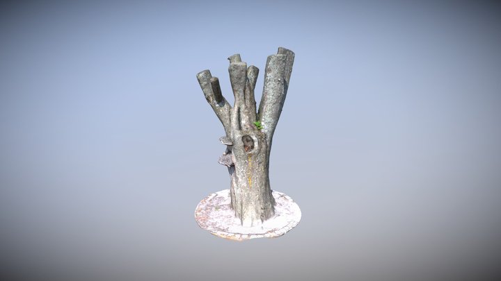 Mushroom Tree 3D Model