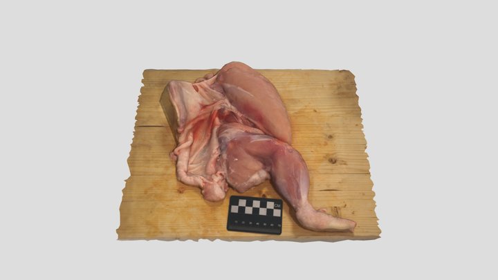 Chicken dissection - skin removed 3D Model