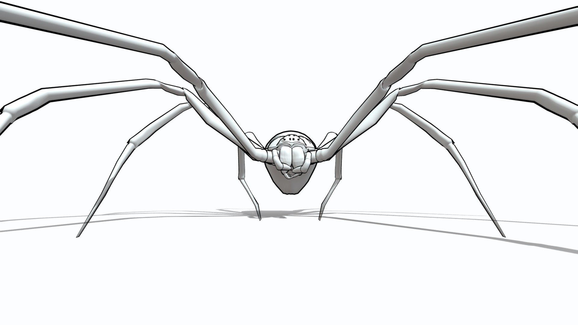 Gradungulidae eye pattern