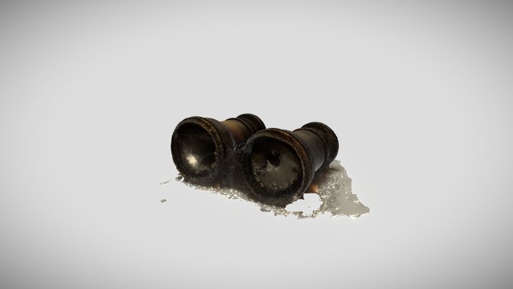 Opera Glasses - Raw Scan 3D Model