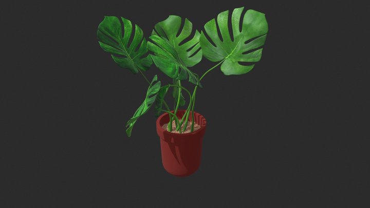 Monstera Deliciosa Leaf 3D Model