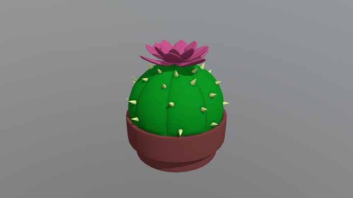 Cactus 3D Model