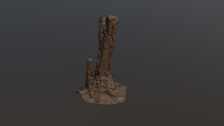 Strump Retopology from Photoscan 3D Model