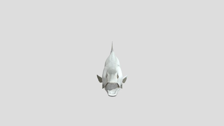 Silver Splash 3D Model