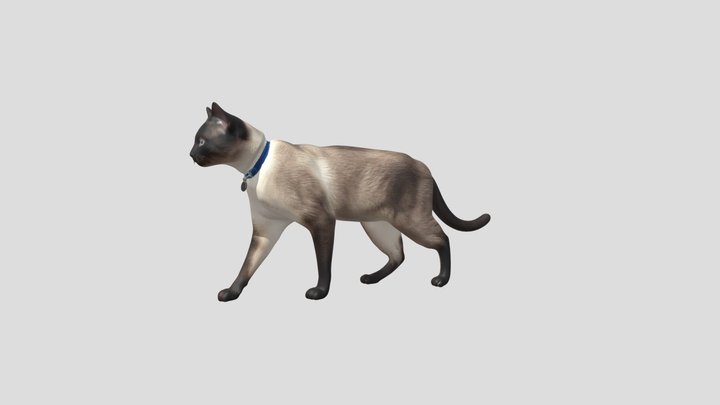 Siamese Cat In Motion – Kostenloses 3D-Modell STL