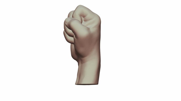 Hand 3D Model