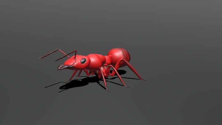 Ant 3D Model