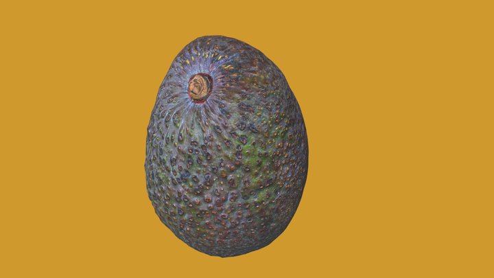 Avocado 3D Model