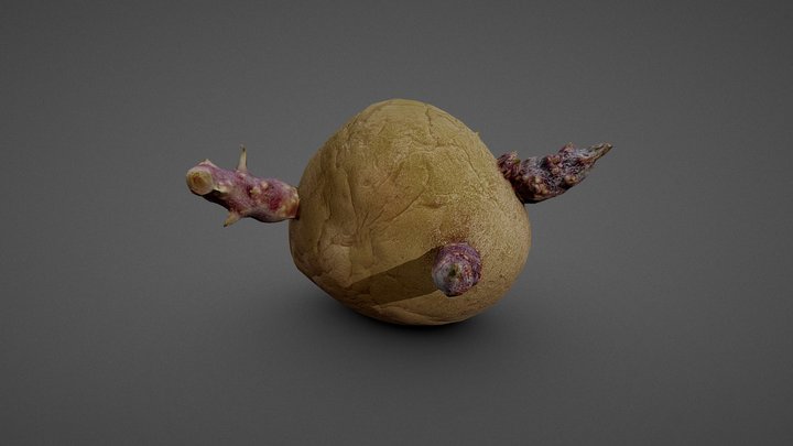 Sprouted Potato I 3D Model