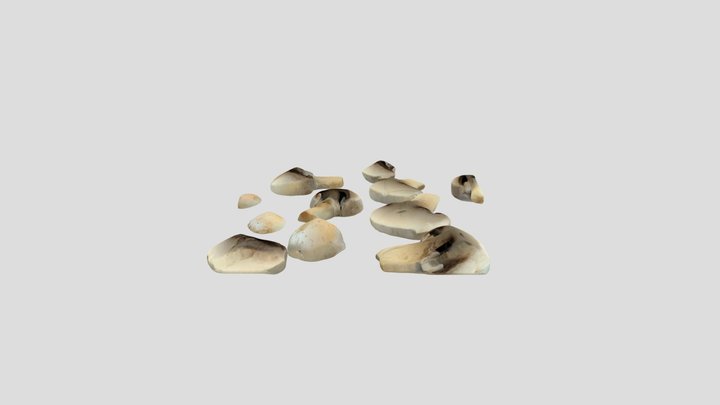 Mushrooms,White Button_sliced 3D Model