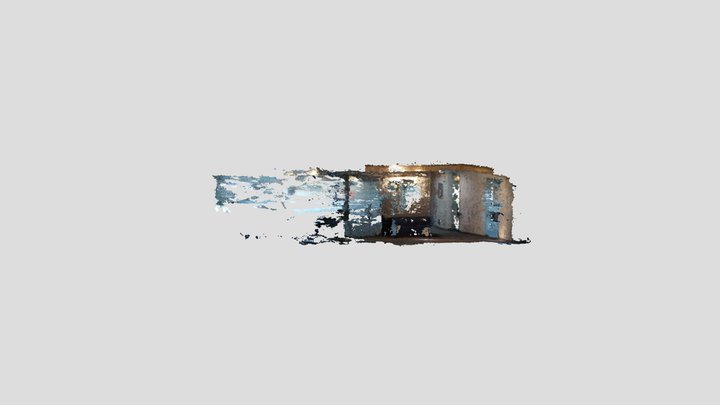 Downsampled-reconstruction Dense-5 3D Model