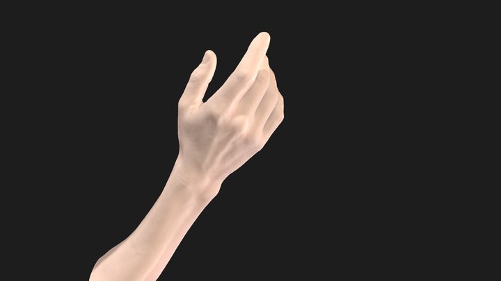 Hand // Main 3D scan with Einscan H 3D Model