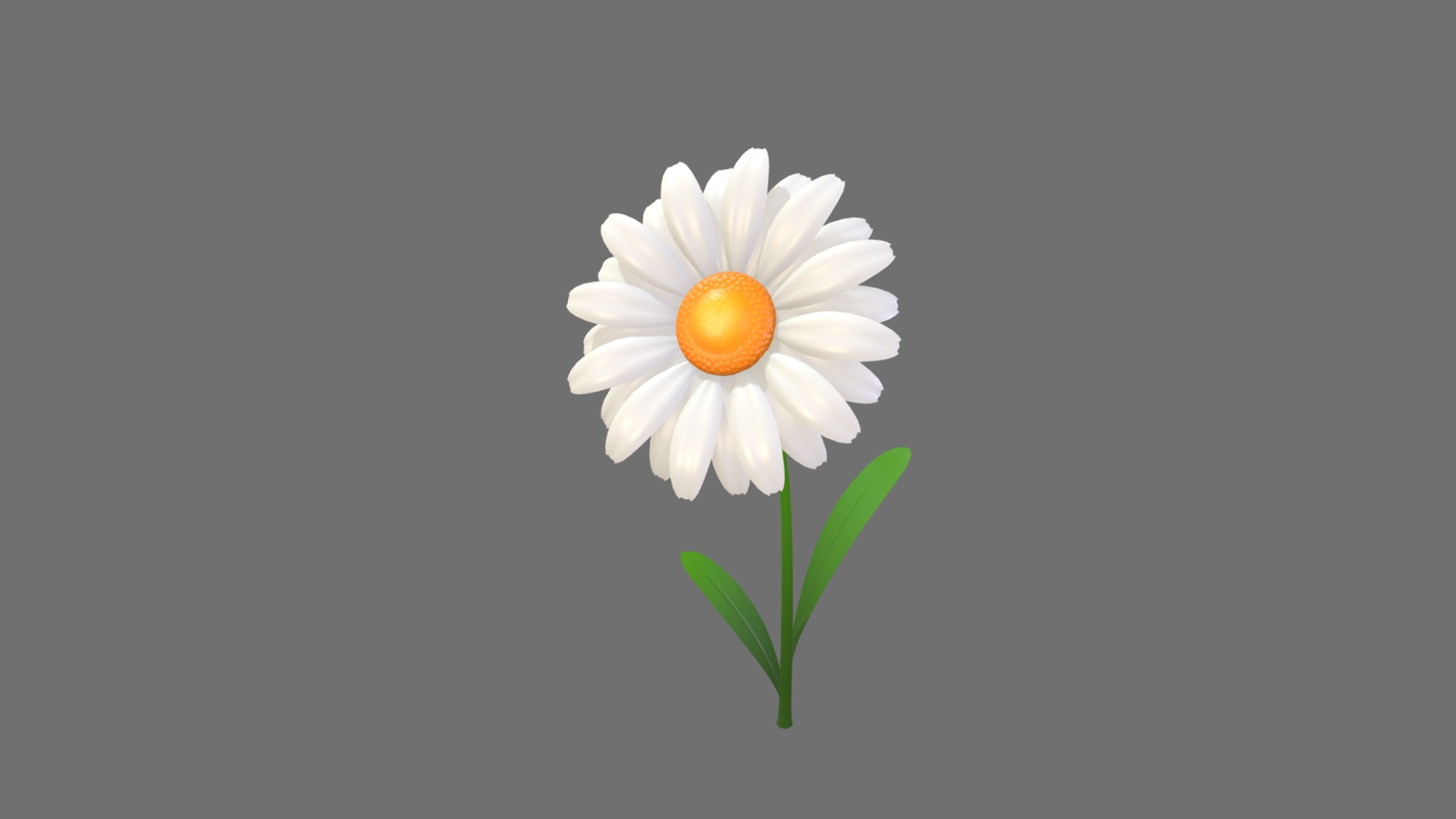 3D model Daisy - This is a 3D model of the Daisy. The 3D model is about shape.