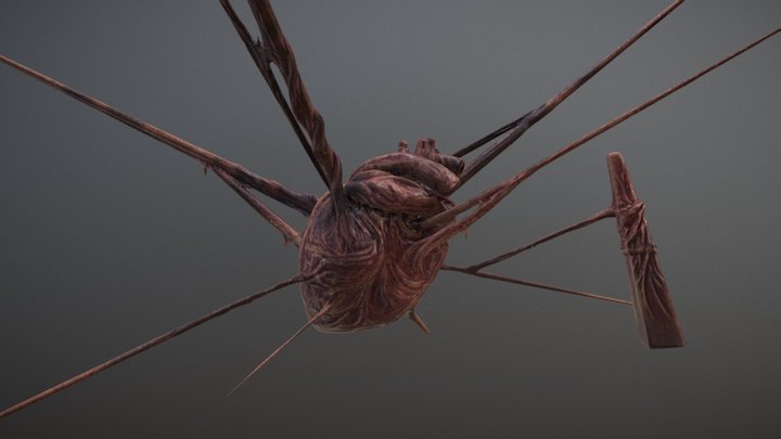 The_Heart 3D Model