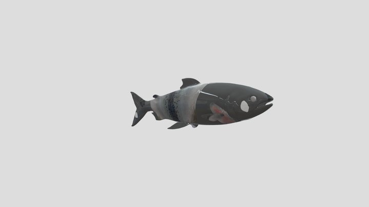 ماهی 3D Model