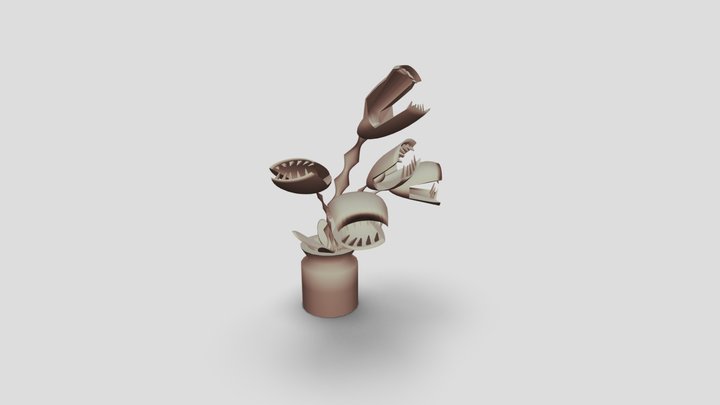 CT4012- Venus Fly Trap- 2023 3D Model