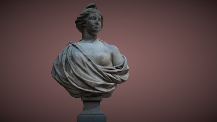 Busto femenino 3D Model