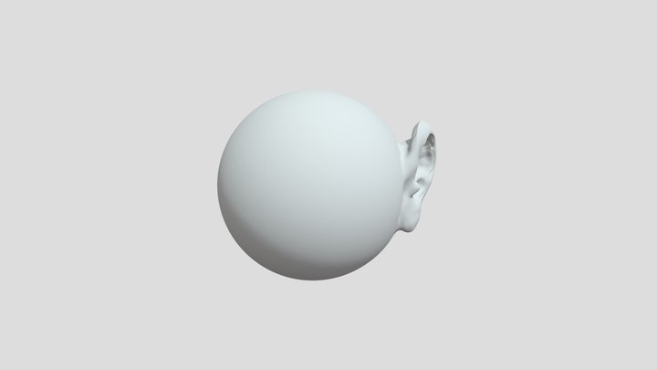 Ear 2 3D Model