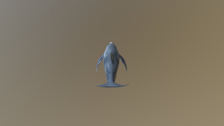 Dolphin Jump An 3D Model