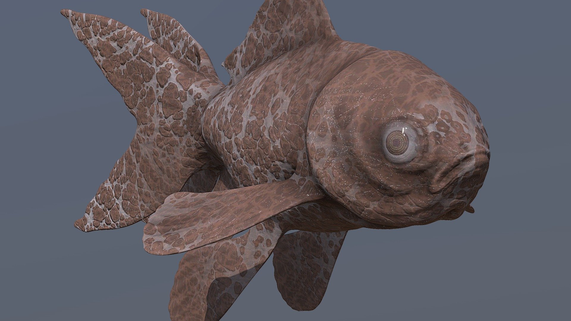 Elefish ?  #FishChallenge