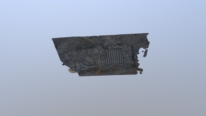 Grummin Wildcat 3D Model