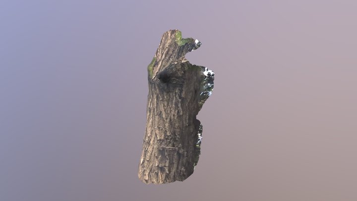 prairie_2 3D Model