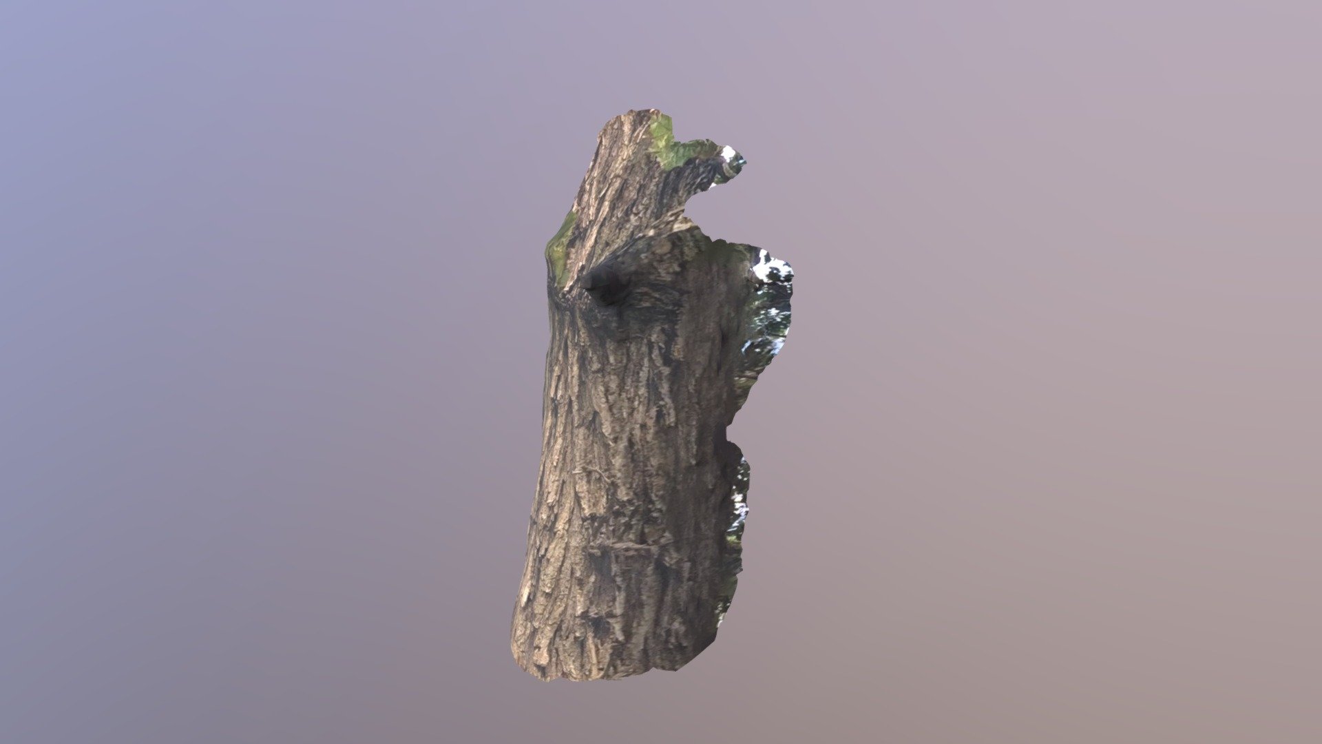 prairie_2