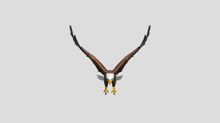 3D Eagle from Bird game 3 3D Model