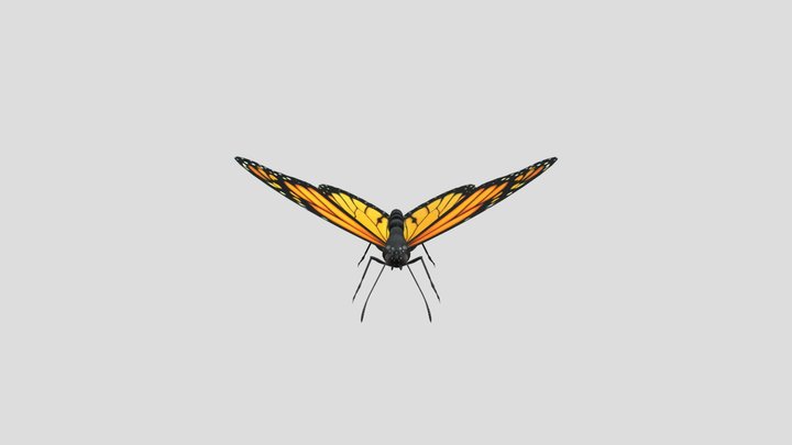 Butterfly 3D Model