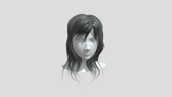 Pocolov Hair 13 – Free 3D Model STL