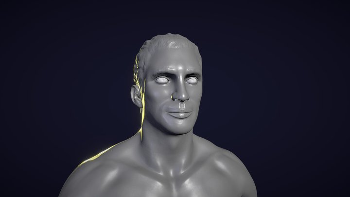 HUMAN ANATOMY 3D Model