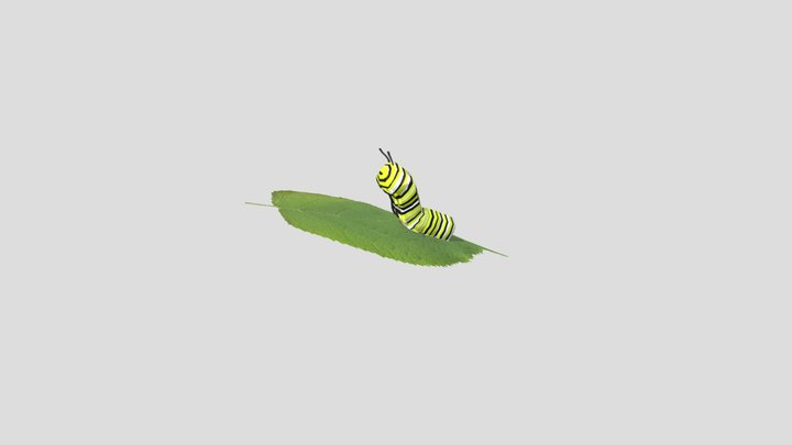 EECS 298 Daily Model 9/23 - Leaf
