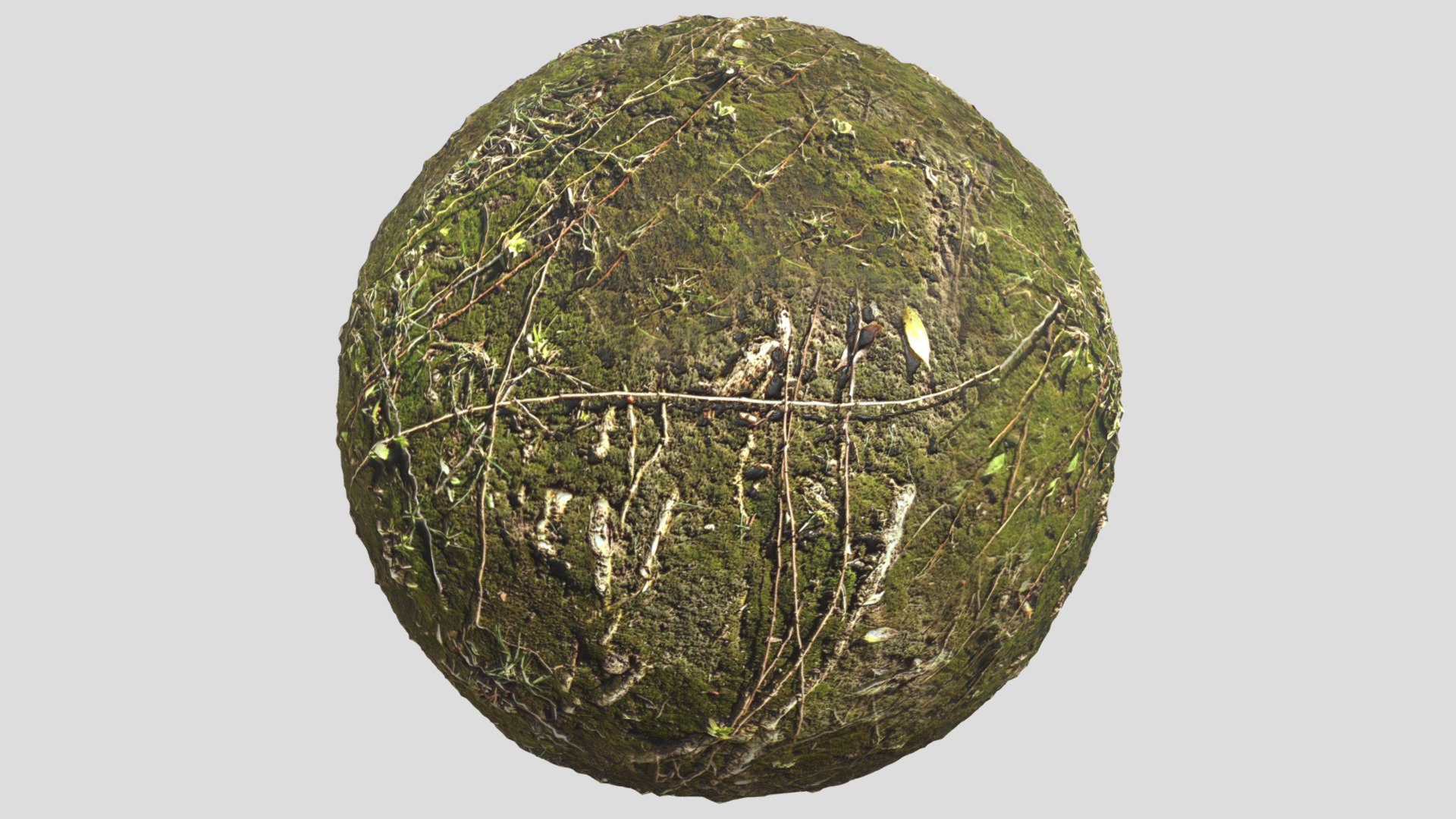 Forest Ground01 — Sketchfab embed 3D viewer