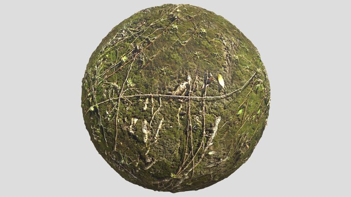 Forest Ground01 – Gratis 3D-model STL