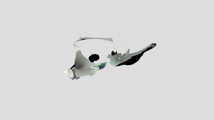 G 3D Model