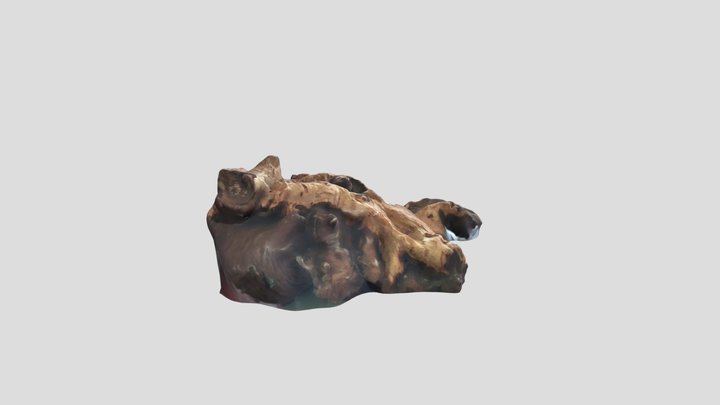 Petrified Peice of wood 3D Model