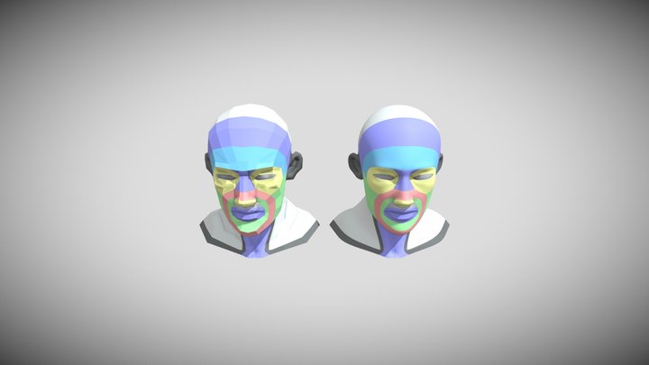 Head Character Model Topology 3D Model