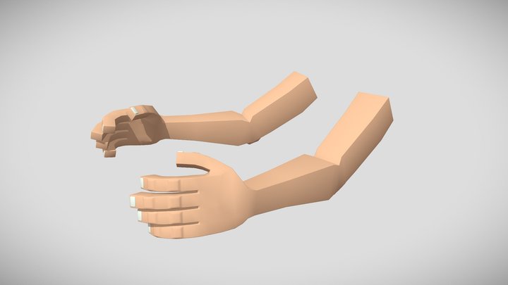 Lowly Poly-Cartoon First Person Arms 3D Model